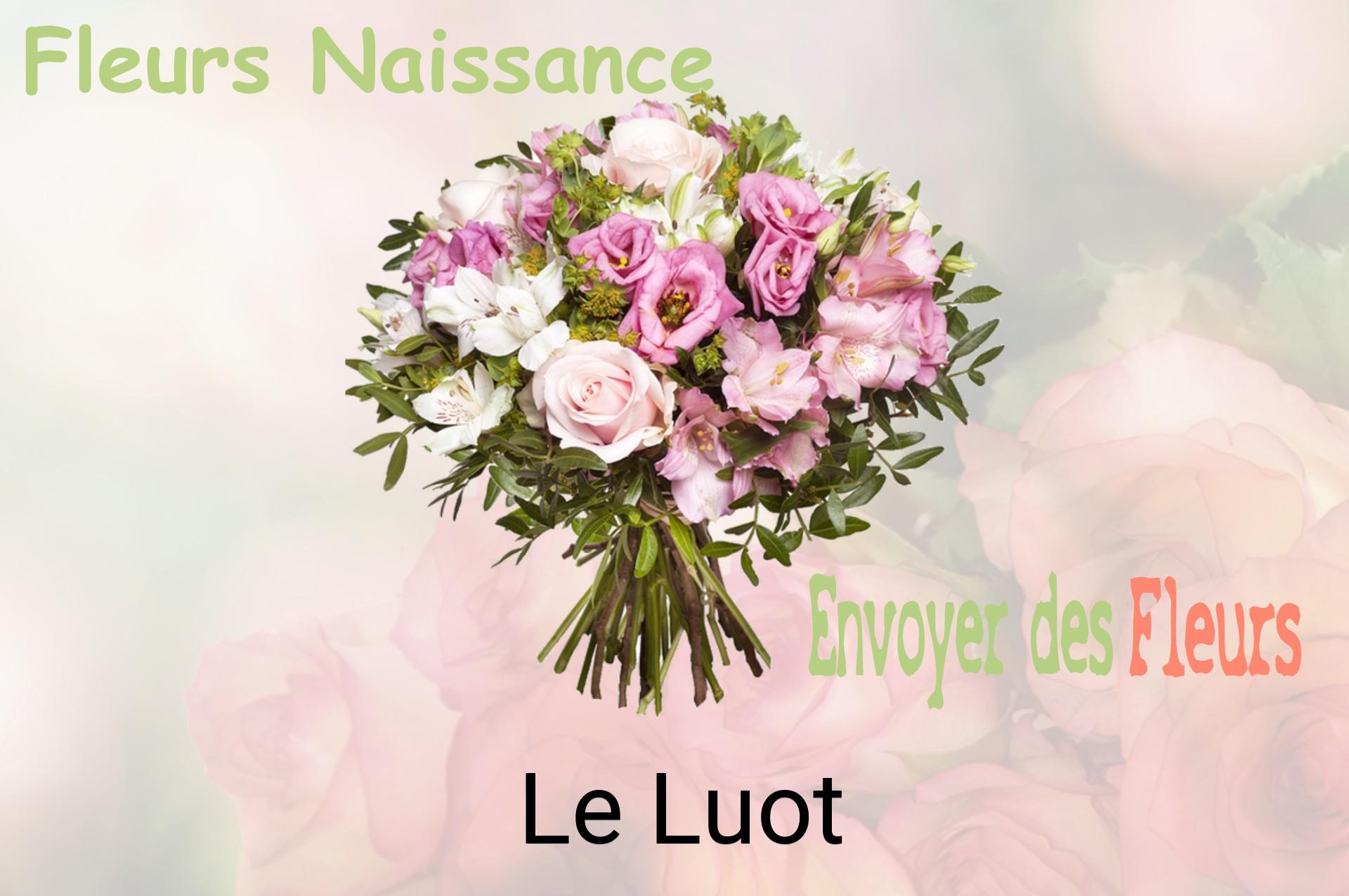 Bouquet de fleurs de naissance livré à Le Luot