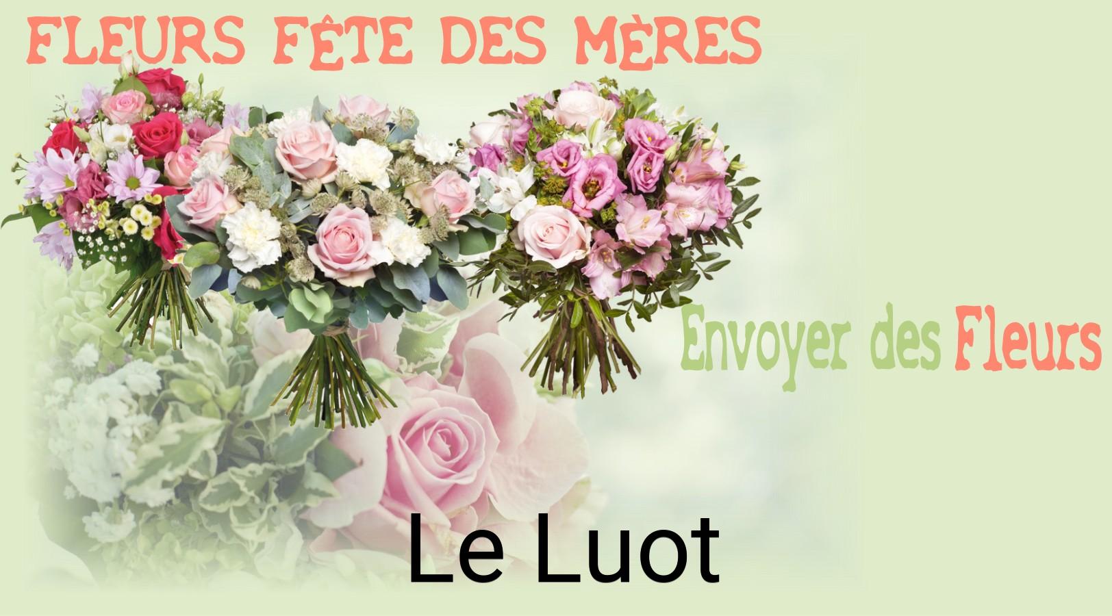 Bouquet de Fête des Mères livré à Le Luot